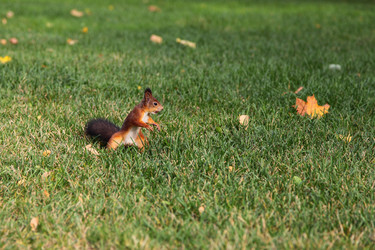 Similar image 1541353