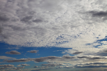 Similar image 1541361