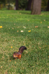 Similar image 1541366