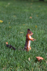 Similar image 1541368