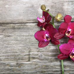 Similar image 1541375