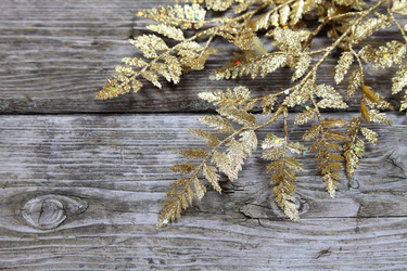 Similar image 1541392