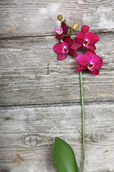 Similar image 1541393