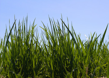 Similar image 1541456