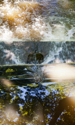 Similar image 1541478