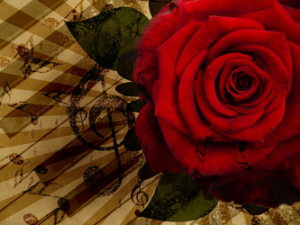 Similar image 1541595