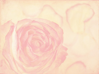 Similar image 1541596