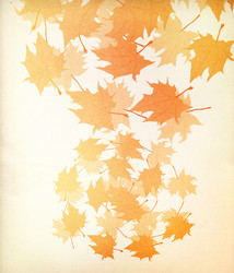 Similar image 1541598