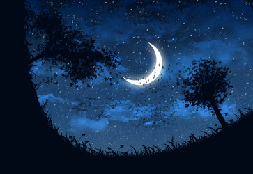 Similar image 1541623