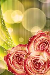 Similar image 1541657