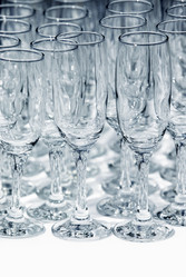 Similar image 1541832