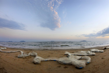 Similar image 1541845