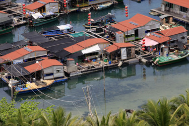 Similar image 1541846