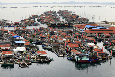 Similar image 1541871