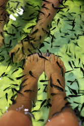 Similar image 1541876