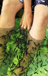 Similar image 1541877