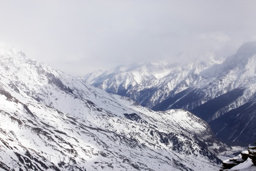 Similar image 1541886