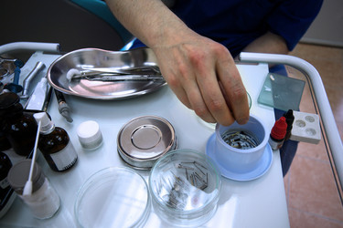 Similar image 1541891