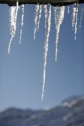 Similar image 1541925