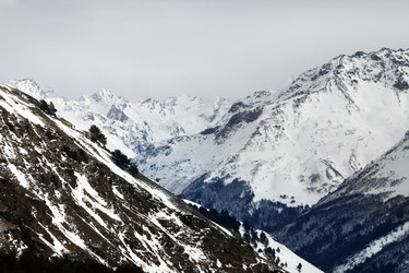 Similar image 1541954