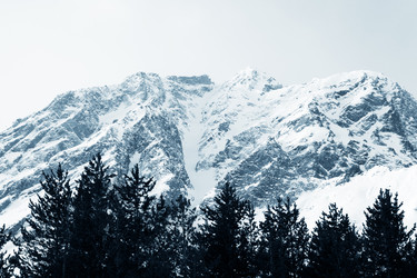 Similar image 1541955