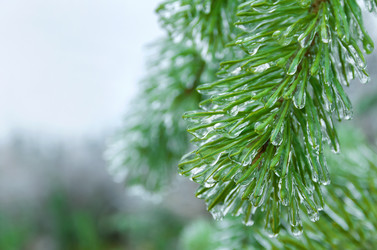 Similar image 1542018