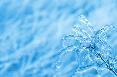 Similar image 1542019