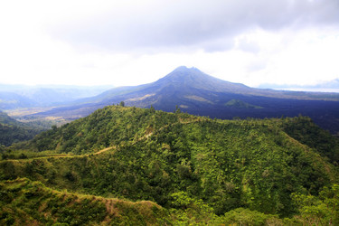 Similar image 1542030