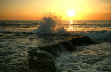 Similar image 1542032