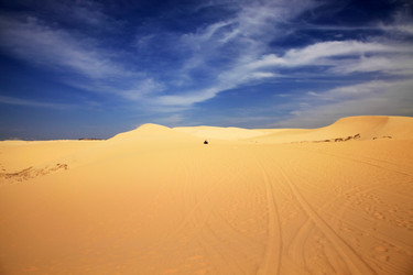 Similar image 1542041