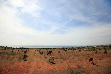 Similar image 1542053