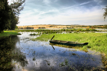 Similar image 1542055