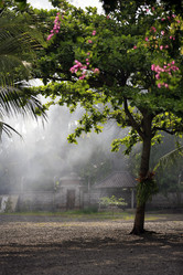 Similar image 1542063