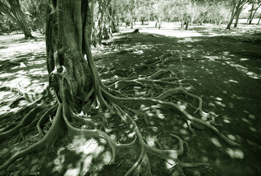 Similar image 1542064