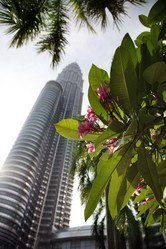 Similar image 1542103