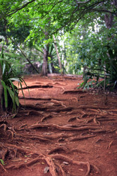 Similar image 1542126