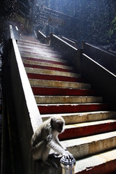 Similar image 1542131