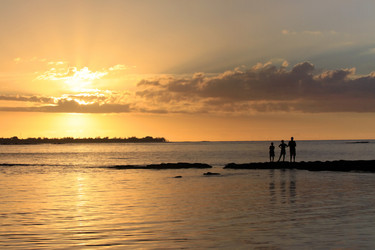 Similar image 1542136