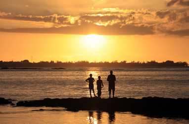 Similar image 1542142