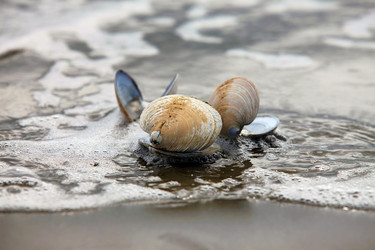 Similar image 1542148