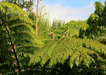 Similar image 1542182