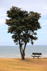 Similar image 1542193