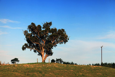 Similar image 1542198