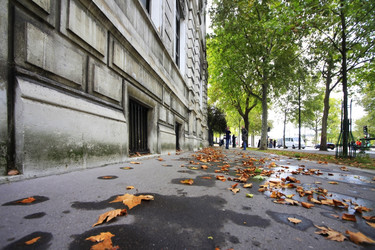 Similar image 1542294