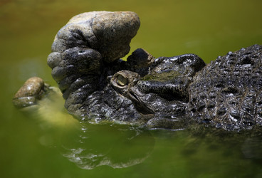 Similar image 1542356