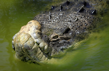 Similar image 1542357