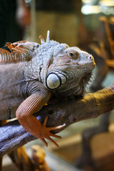 Similar image 1542360