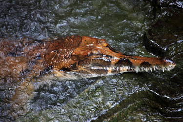 Similar image 1542361