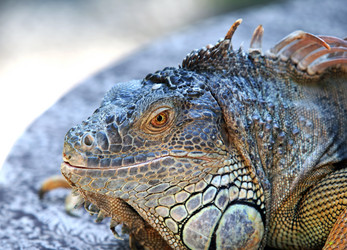 Similar image 1542362