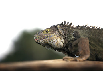 Similar image 1542369